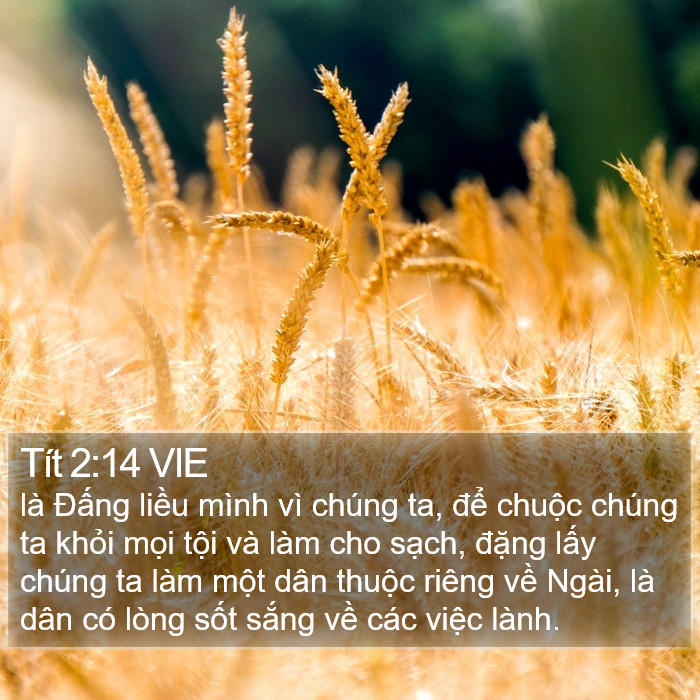 Tít 2:14 VIE Bible Study