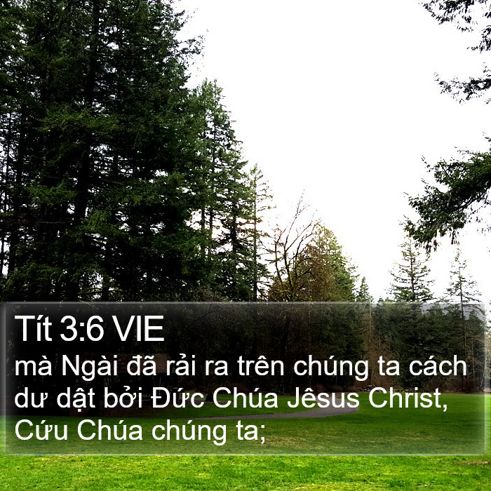 Tít 3:6 VIE Bible Study