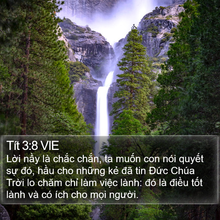 Tít 3:8 VIE Bible Study