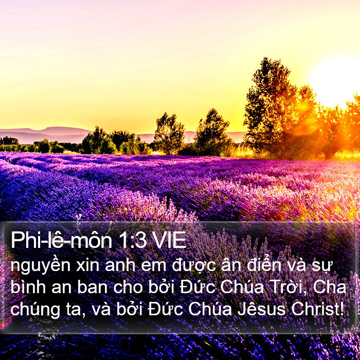 Phi-lê-môn 1:3 VIE Bible Study