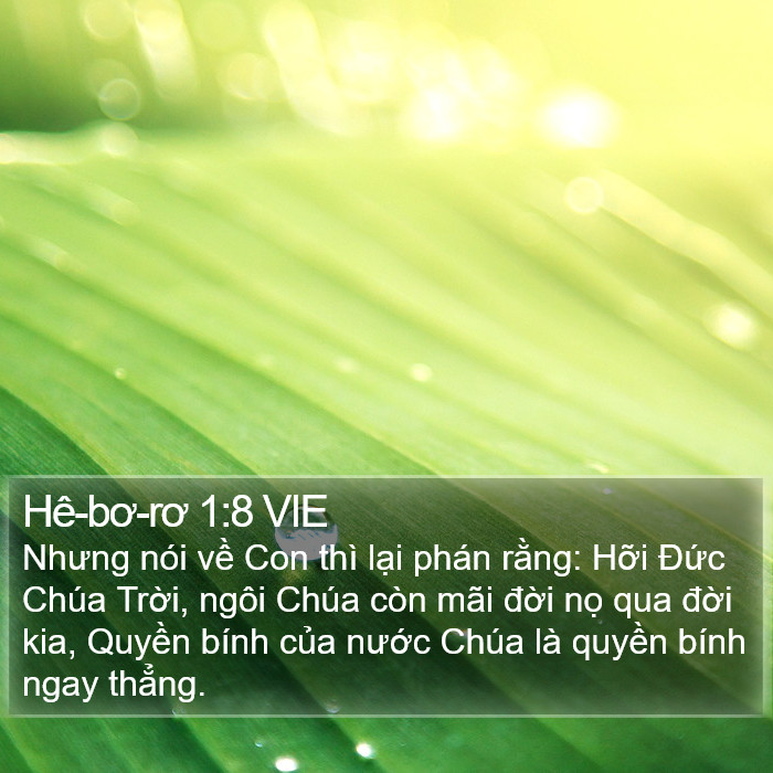 Hê-bơ-rơ 1:8 VIE Bible Study