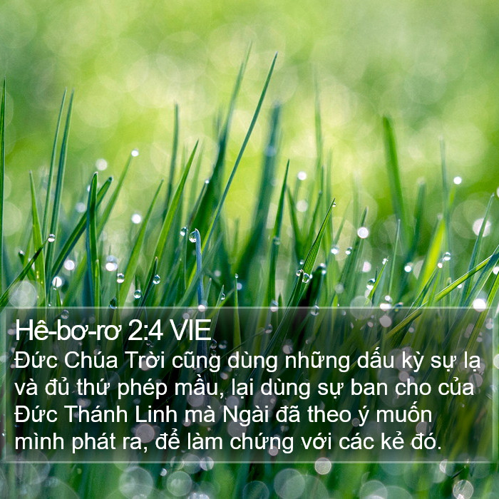 Hê-bơ-rơ 2:4 VIE Bible Study