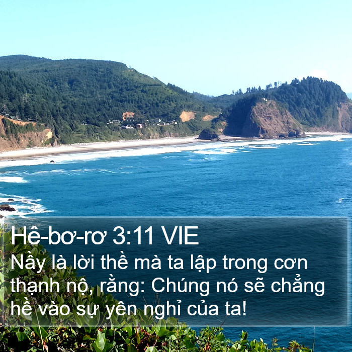 Hê-bơ-rơ 3:11 VIE Bible Study