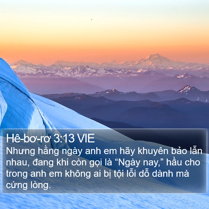 Hê-bơ-rơ 3:13 VIE Bible Study