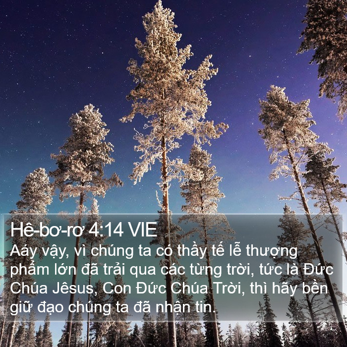 Hê-bơ-rơ 4:14 VIE Bible Study