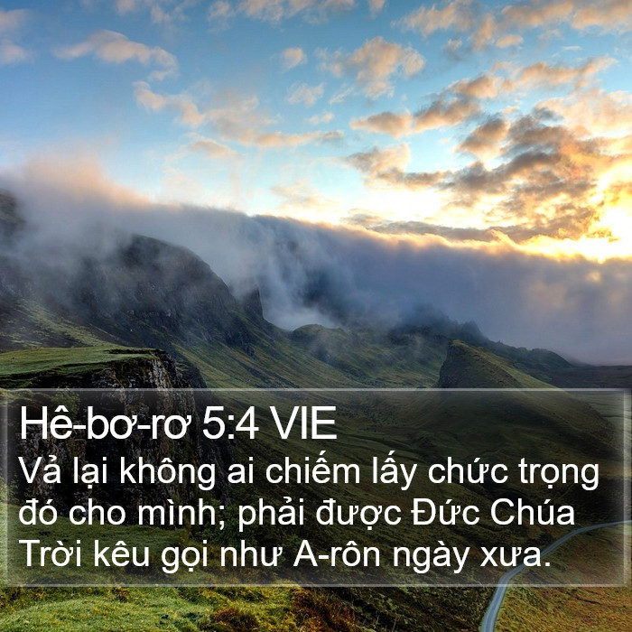 Hê-bơ-rơ 5:4 VIE Bible Study