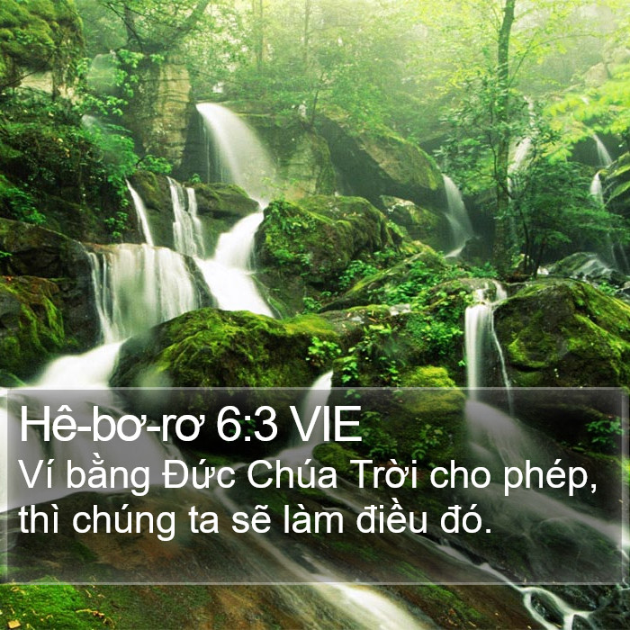 Hê-bơ-rơ 6:3 VIE Bible Study