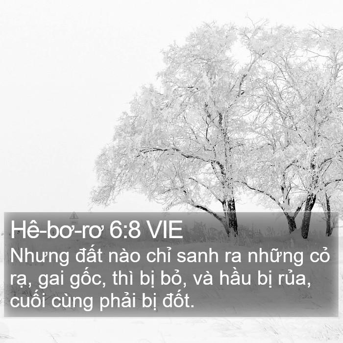 Hê-bơ-rơ 6:8 VIE Bible Study