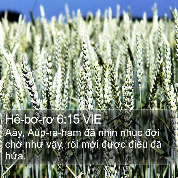 Hê-bơ-rơ 6:15 VIE Bible Study