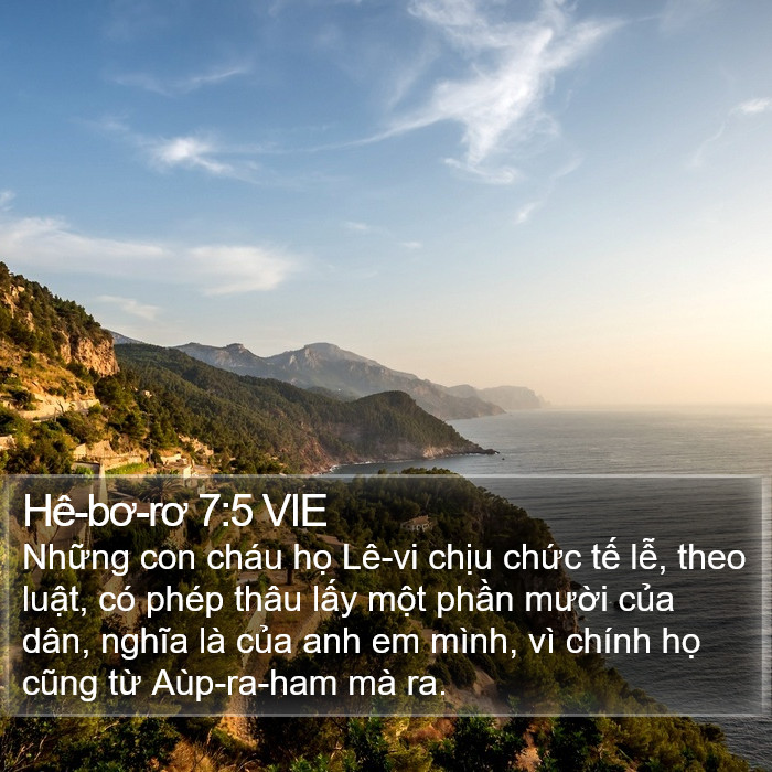 Hê-bơ-rơ 7:5 VIE Bible Study