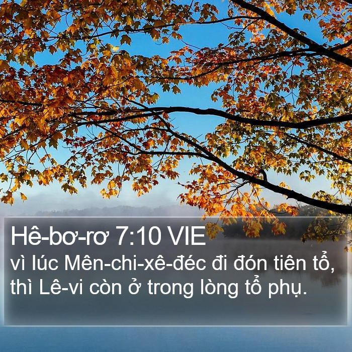 Hê-bơ-rơ 7:10 VIE Bible Study