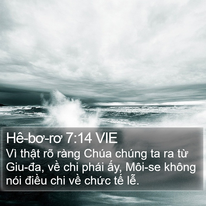 Hê-bơ-rơ 7:14 VIE Bible Study