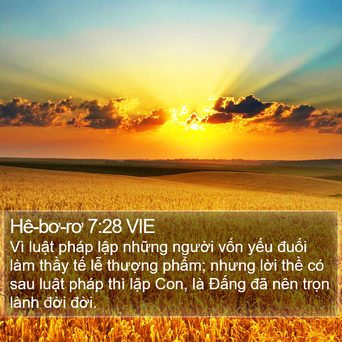 Hê-bơ-rơ 7:28 VIE Bible Study