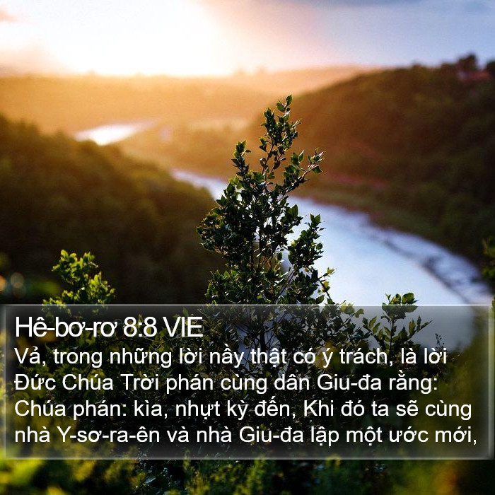 Hê-bơ-rơ 8:8 VIE Bible Study