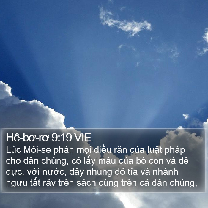 Hê-bơ-rơ 9:19 VIE Bible Study