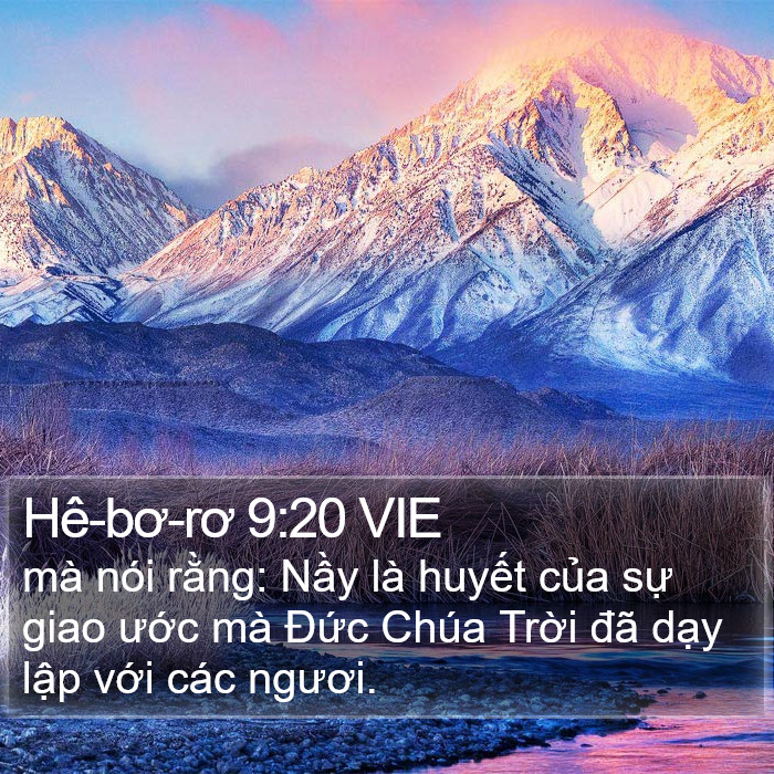 Hê-bơ-rơ 9:20 VIE Bible Study