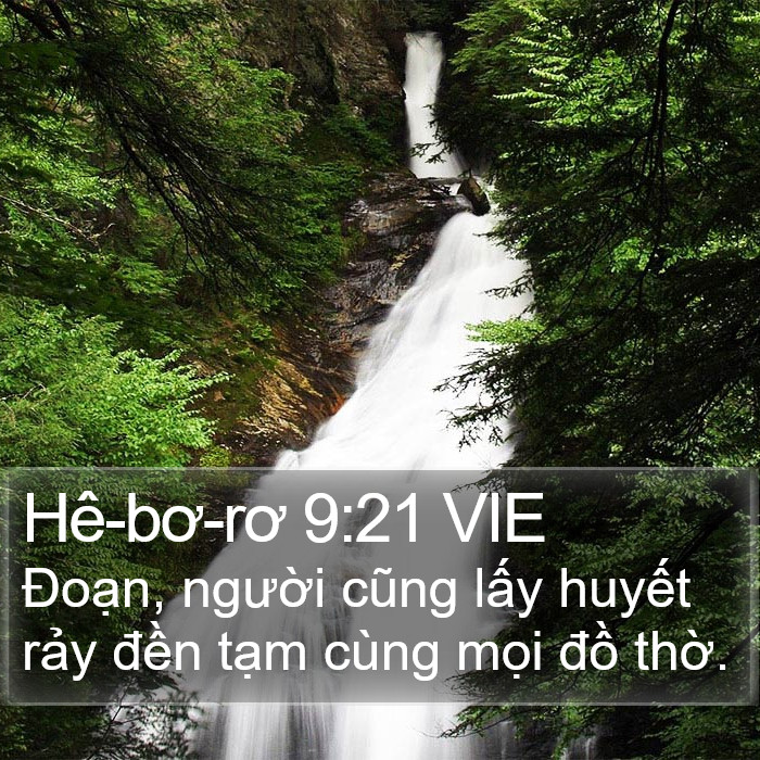 Hê-bơ-rơ 9:21 VIE Bible Study