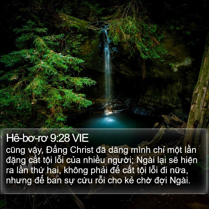 Hê-bơ-rơ 9:28 VIE Bible Study