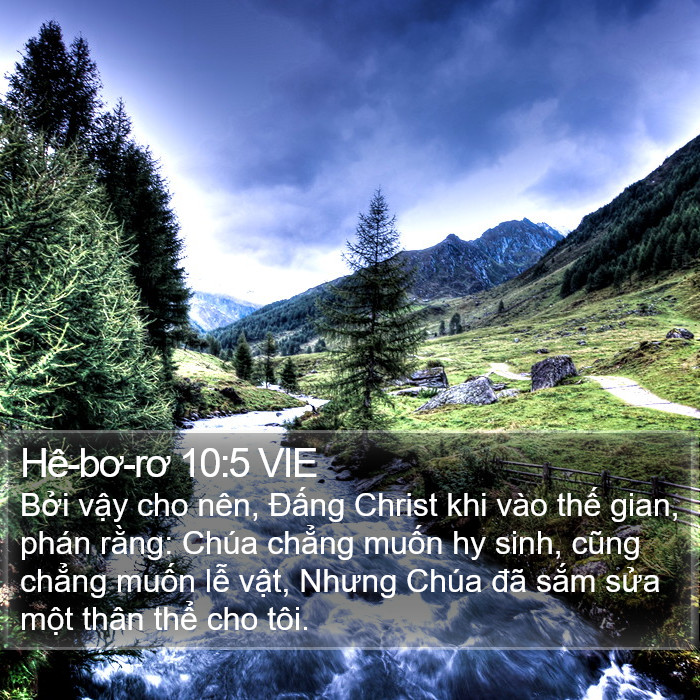 Hê-bơ-rơ 10:5 VIE Bible Study