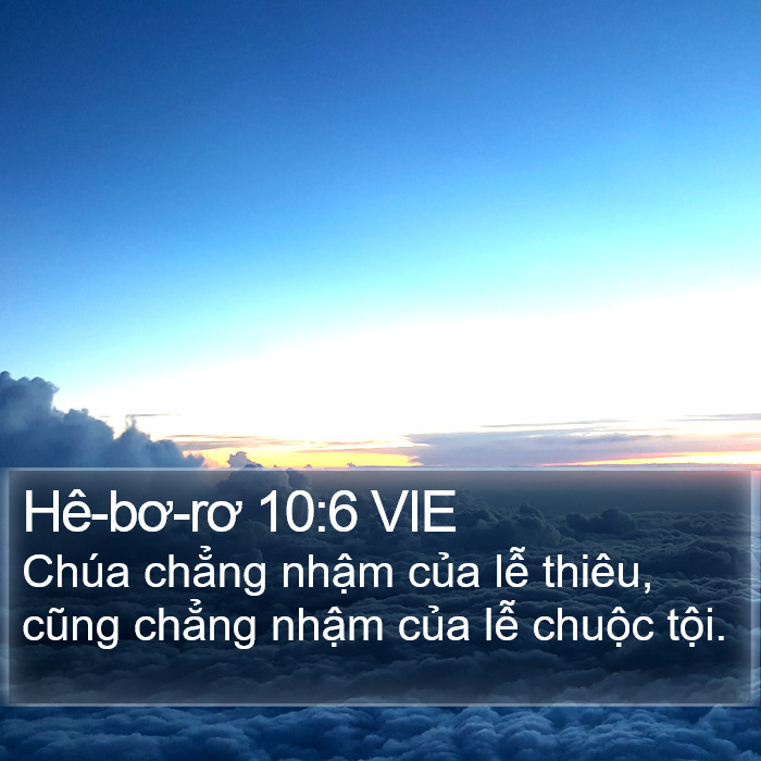 Hê-bơ-rơ 10:6 VIE Bible Study