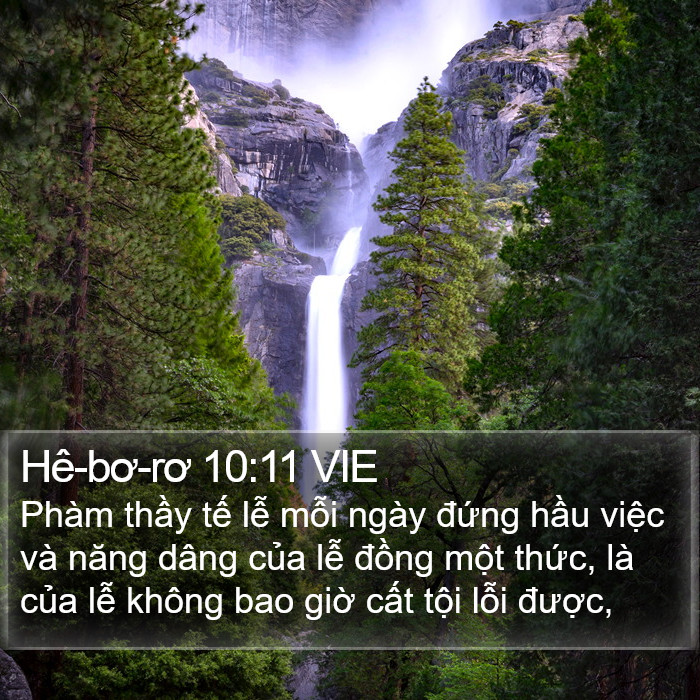 Hê-bơ-rơ 10:11 VIE Bible Study