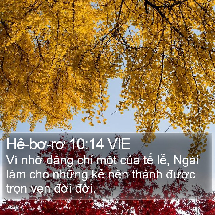 Hê-bơ-rơ 10:14 VIE Bible Study