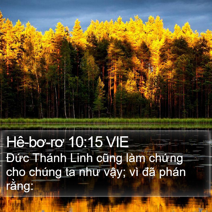 Hê-bơ-rơ 10:15 VIE Bible Study