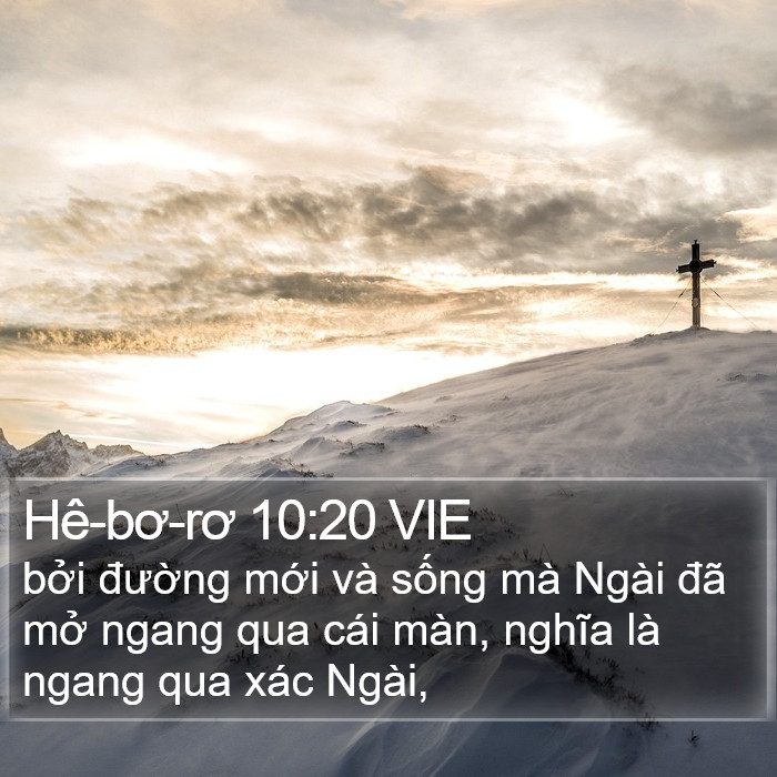 Hê-bơ-rơ 10:20 VIE Bible Study