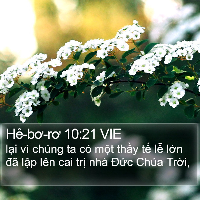 Hê-bơ-rơ 10:21 VIE Bible Study