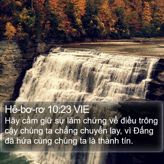 Hê-bơ-rơ 10:23 VIE Bible Study