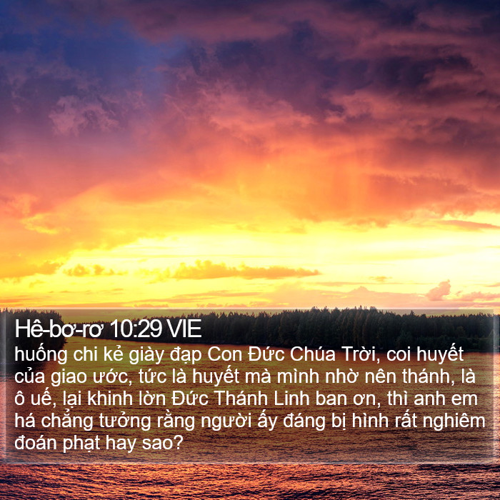 Hê-bơ-rơ 10:29 VIE Bible Study