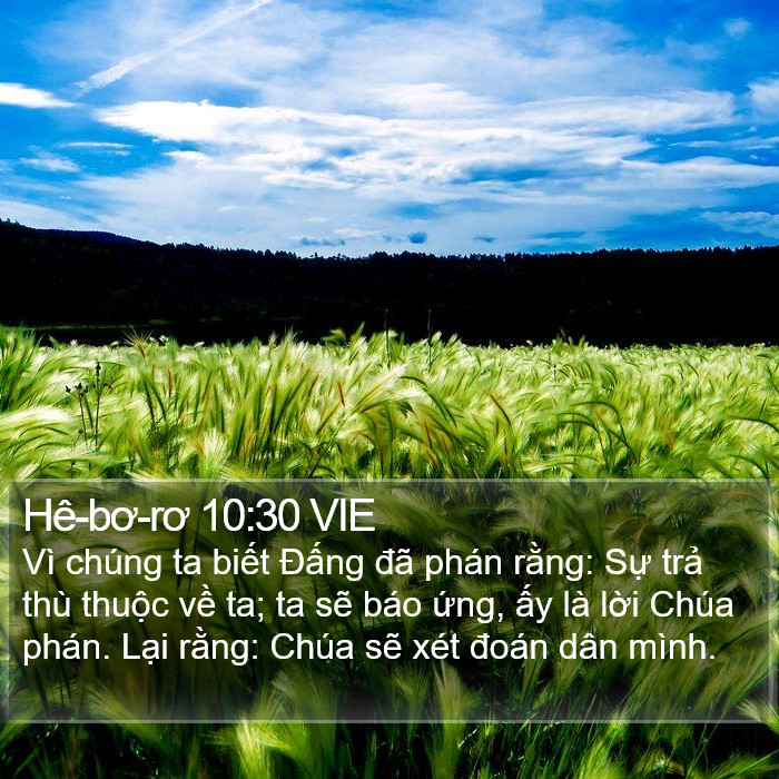 Hê-bơ-rơ 10:30 VIE Bible Study