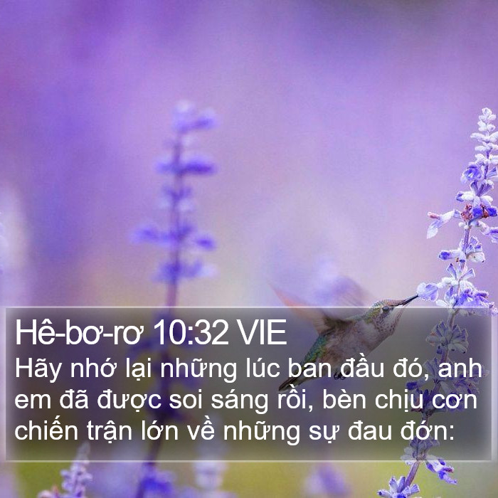 Hê-bơ-rơ 10:32 VIE Bible Study