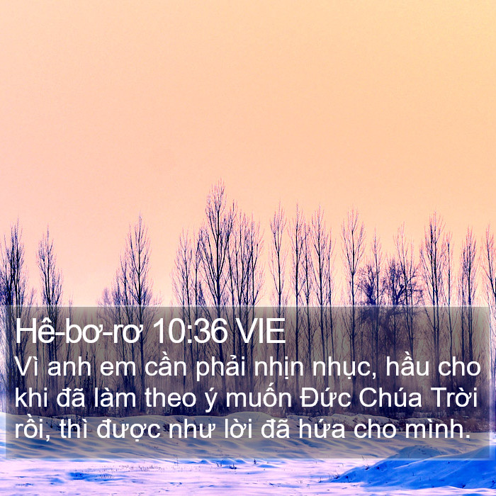 Hê-bơ-rơ 10:36 VIE Bible Study