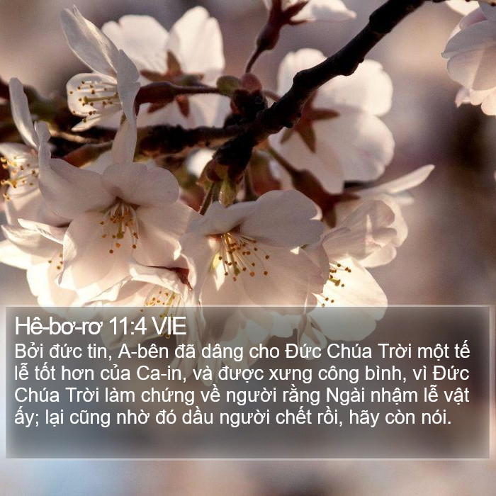 Hê-bơ-rơ 11:4 VIE Bible Study