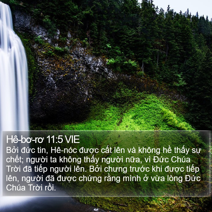 Hê-bơ-rơ 11:5 VIE Bible Study