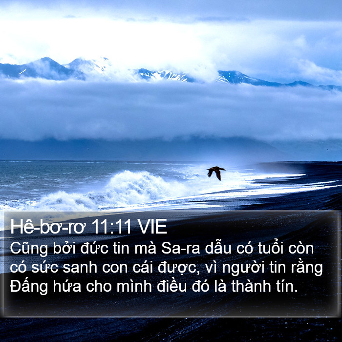 Hê-bơ-rơ 11:11 VIE Bible Study