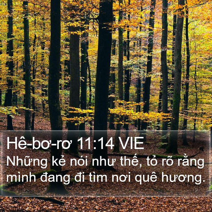 Hê-bơ-rơ 11:14 VIE Bible Study