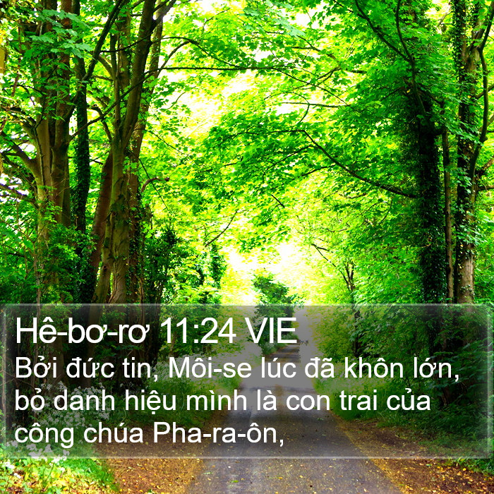 Hê-bơ-rơ 11:24 VIE Bible Study