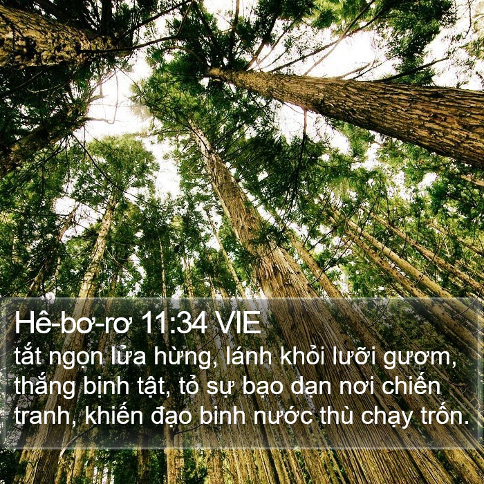 Hê-bơ-rơ 11:34 VIE Bible Study