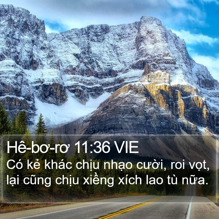 Hê-bơ-rơ 11:36 VIE Bible Study