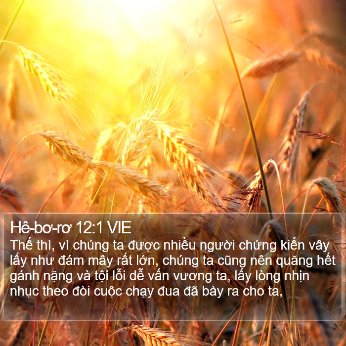 Hê-bơ-rơ 12:1 VIE Bible Study