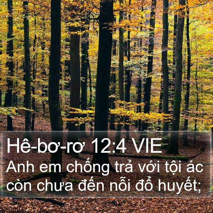 Hê-bơ-rơ 12:4 VIE Bible Study