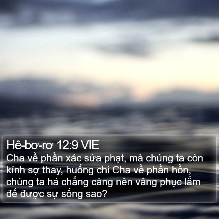 Hê-bơ-rơ 12:9 VIE Bible Study