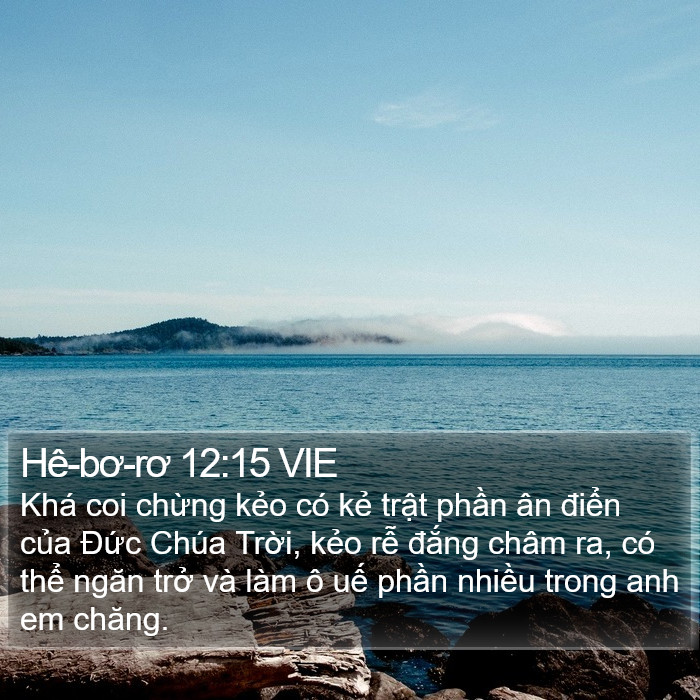 Hê-bơ-rơ 12:15 VIE Bible Study