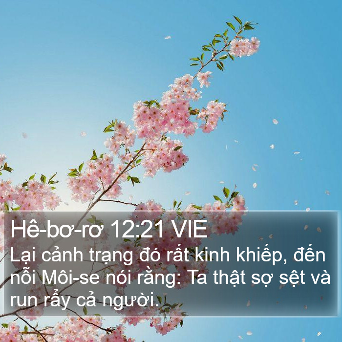 Hê-bơ-rơ 12:21 VIE Bible Study