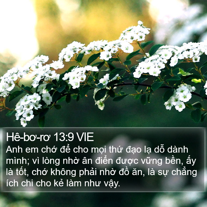 Hê-bơ-rơ 13:9 VIE Bible Study