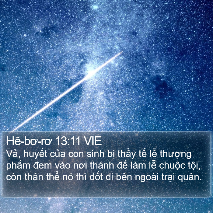 Hê-bơ-rơ 13:11 VIE Bible Study