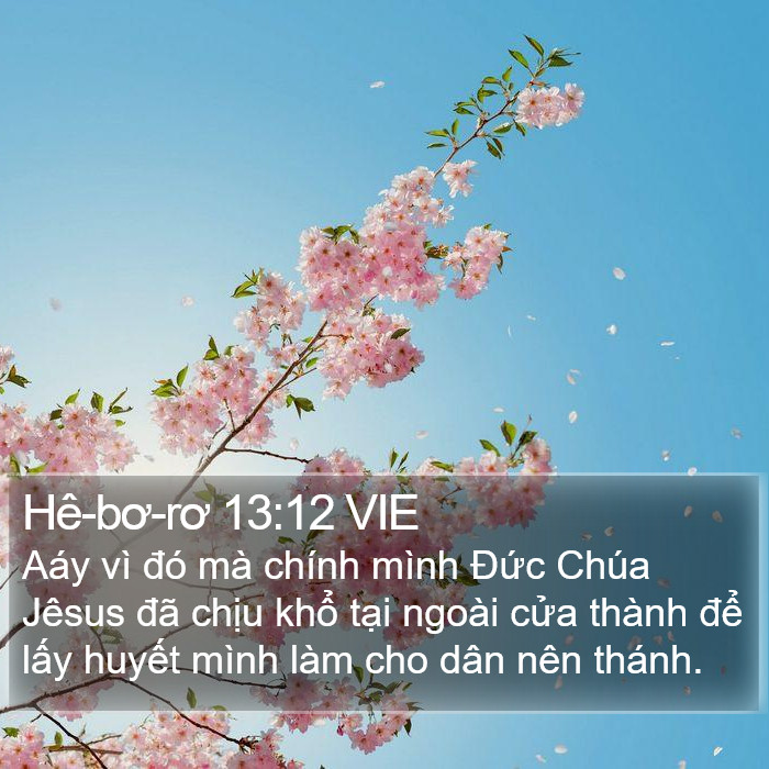 Hê-bơ-rơ 13:12 VIE Bible Study