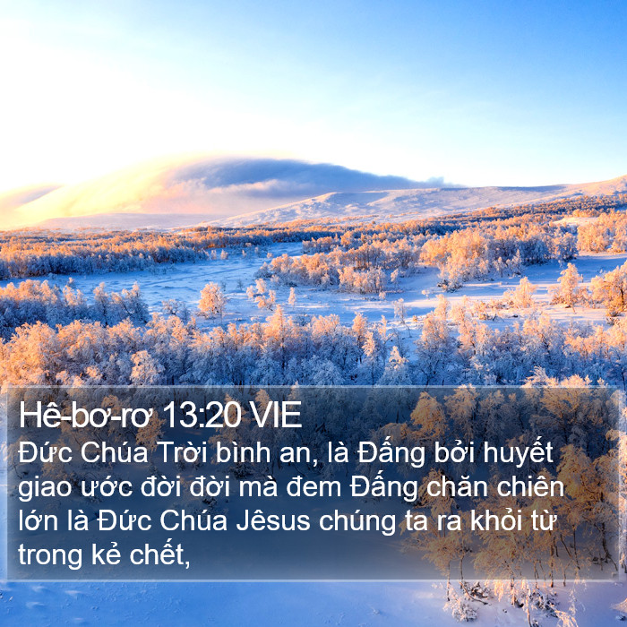 Hê-bơ-rơ 13:20 VIE Bible Study